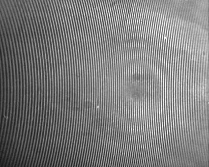 auge_str.jpg (25220 Byte)